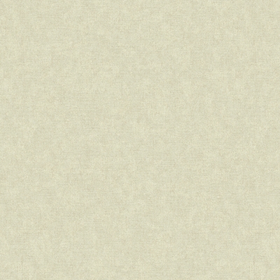 KALINKA WALLPAPER (PAGE: 4) - 10.6 m2 - SERİ SONU