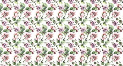 MONETA VOL.2 (W525)x(H280)=14.70 M2
