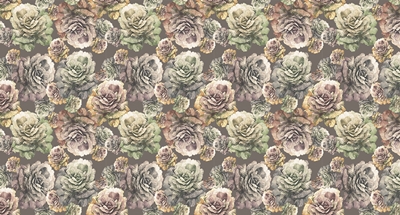 MONETA VOL.2 (W525)x(H280)=14.70 M2