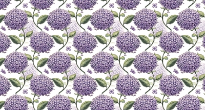MONETA VOL.2 (W525)x(H280)=14.70 M2