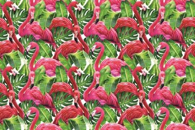 MONETA VOL.2 (W420)x(H280)=11.76 M2