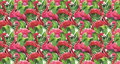 MONETA VOL.2 (W525)x(H280)=14.70 M2