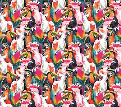MONETA VOL.2 (W315)x(H280)=8.82 M2