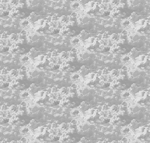 MONETA (W315)x(H280)=8.82 M2