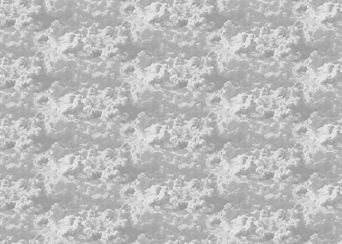 MONETA (W420)x(H280)=11.76 M2