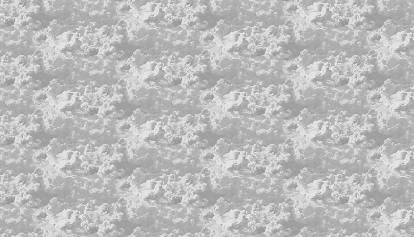 MONETA (W525)x(H280)=14.70 M2
