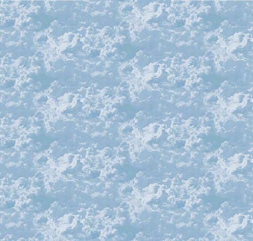 MONETA (W315)x(H280)=8.82 M2
