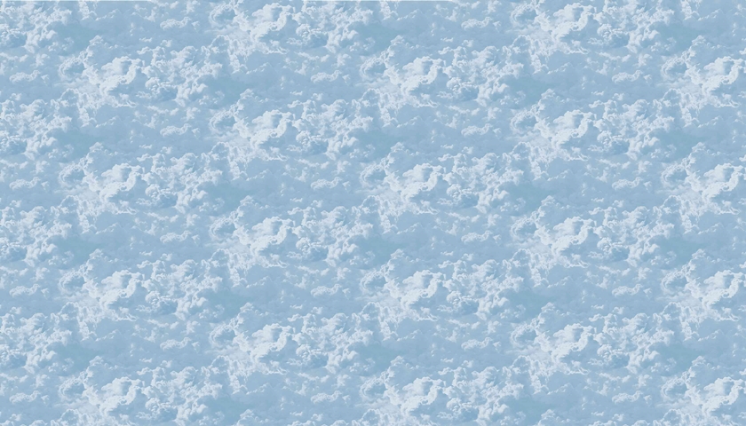 MONETA (W525)x(H280)=14.70 M2
