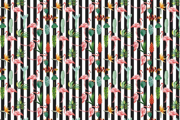 MONETA (W420)x(H280)=11.76 M2