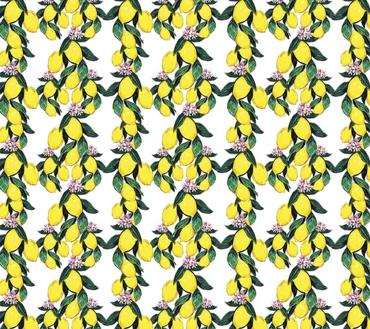 MONETA (W315)x(H280)=8.82 M2