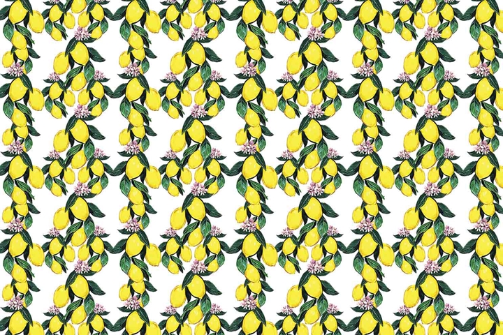 MONETA (W420)x(H280)=11.76 M2