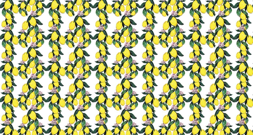 MONETA (W525)x(H280)=14.70 M2