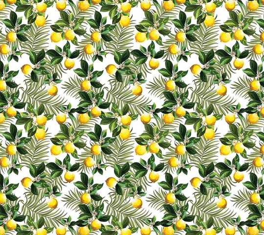 MONETA (W315)x(H280)=8.82 M2