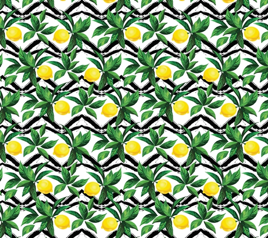 MONETA (W315)x(H280)=8.82 M2