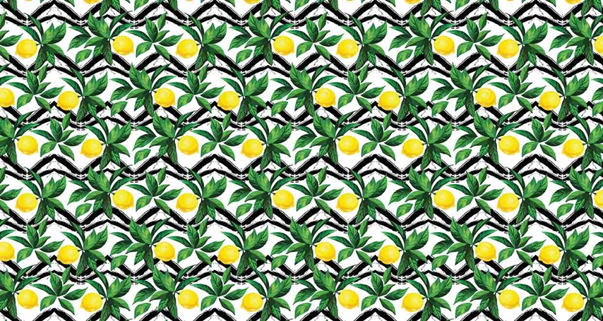 MONETA (W525)x(H280)=14.70 M2