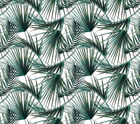 MONETA (W315)x(H280)=8.82 M2
