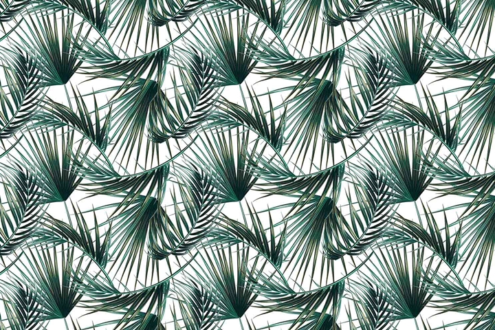 MONETA (W420)x(H280)=11.76 M2