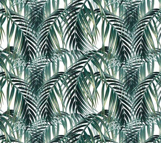 MONETA (W315)x(H280)=8.82 M2
