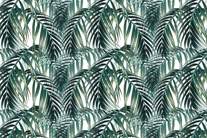 MONETA (W420)x(H280)=11.76 M2