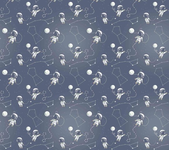 MONETA VOL.2 (W315)x(H280)=8.82 M2
