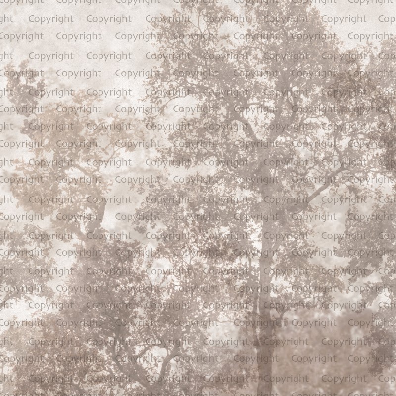 SEASONS POSTER (W525)x(H280)=14,70 M2