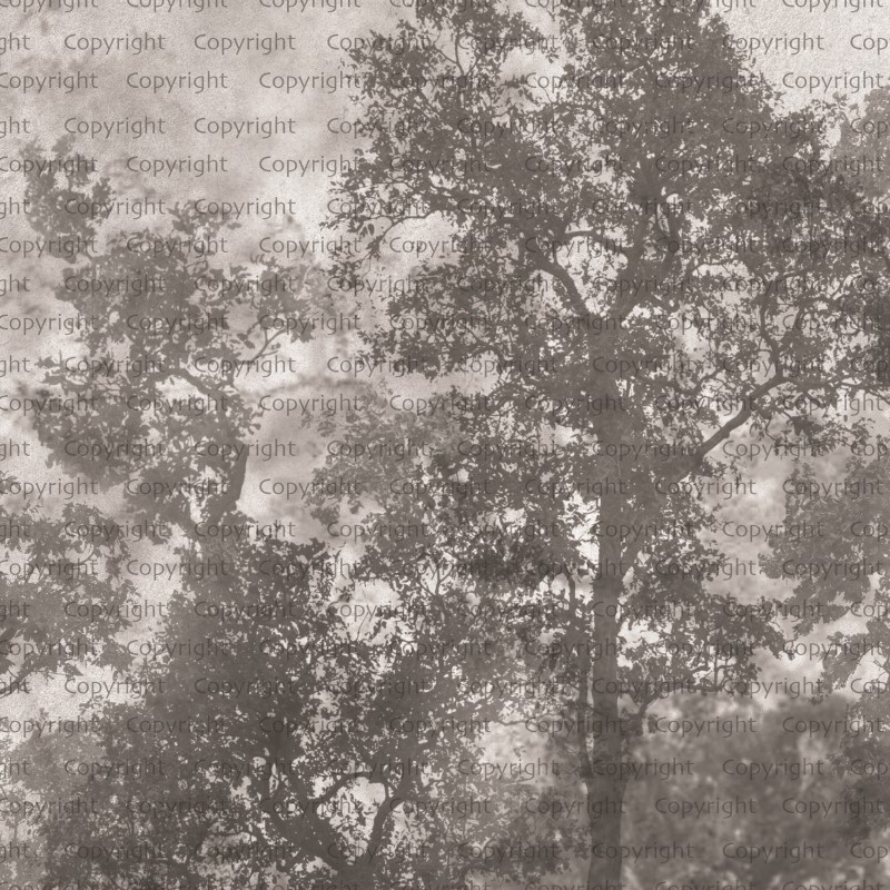 SEASONS POSTER (W525)x(H280)=14,70 M2