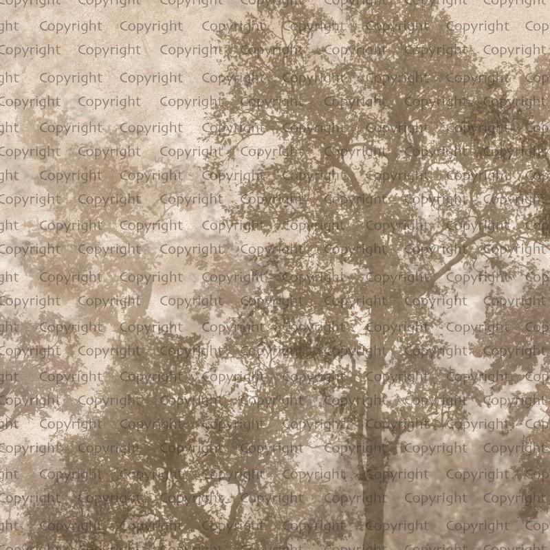 SEASONS POSTER (W525)x(H280)=14,70 M2